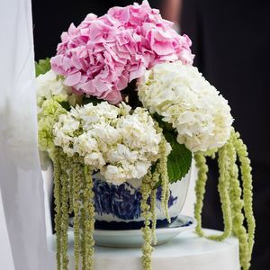 Meet your Posher, Ming